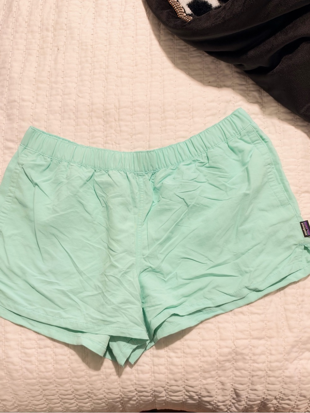Patagonia Women's Mint-Cool Green Athletic Shorts